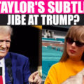 Did Taylor Swift Just Take A Swipe At Trump?