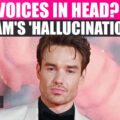 Liam Payne's 'Hallucination' Concerns, Did He 'Hear Voices' Before Tragic Fall?