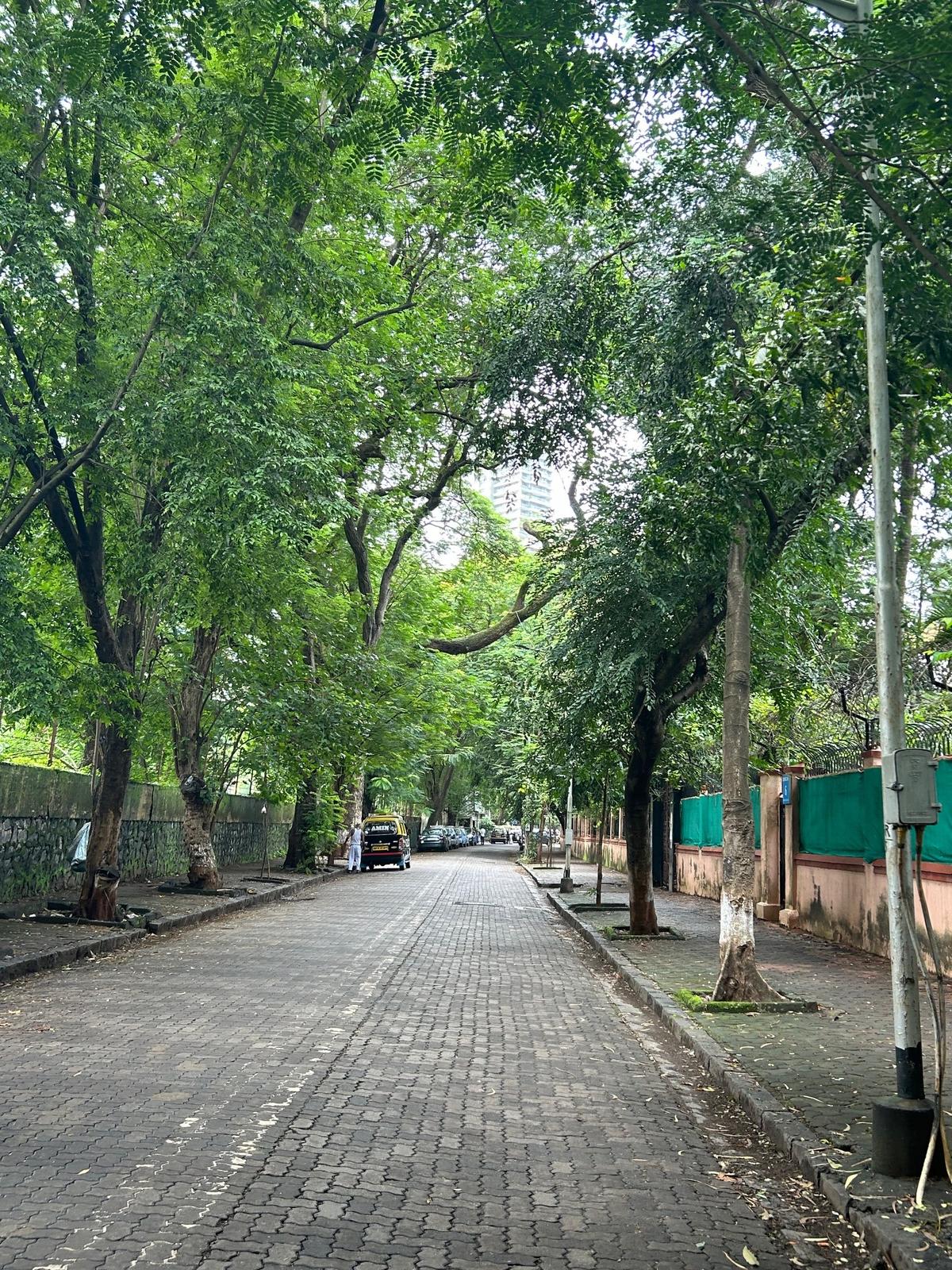 One of the streets in Dadar Parsi Colony