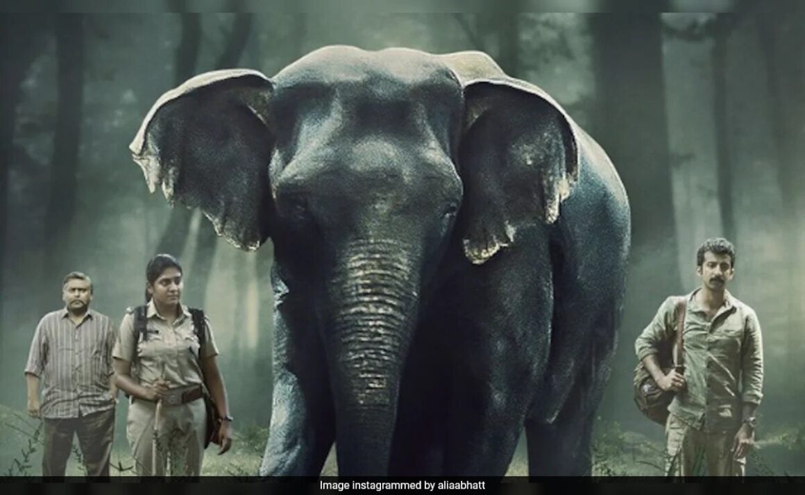 Powerful Wildlife Crime Thriller Co-Produced By Alia Bhatt