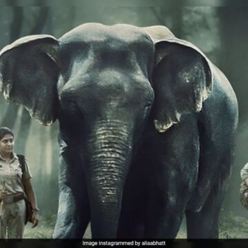 Powerful Wildlife Crime Thriller Co-Produced By Alia Bhatt