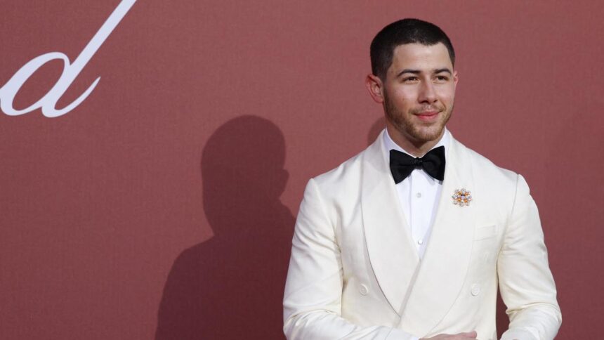 Nick Jonas flees stage following laser scare at Prague show