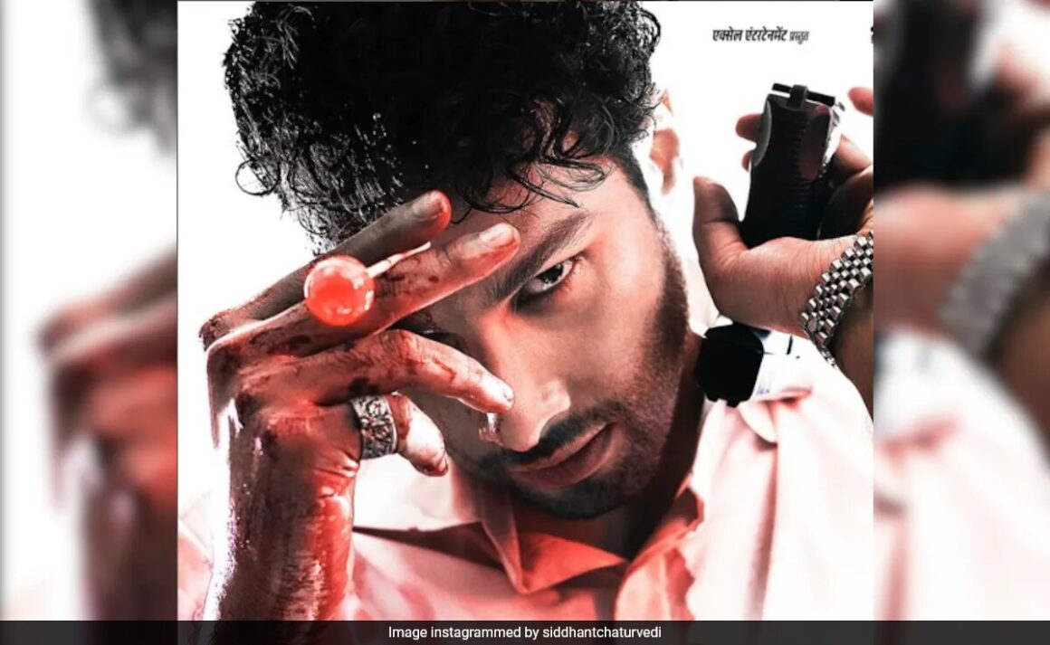 Siddhant Chaturvedi’s Film Is Relentlessly Violent