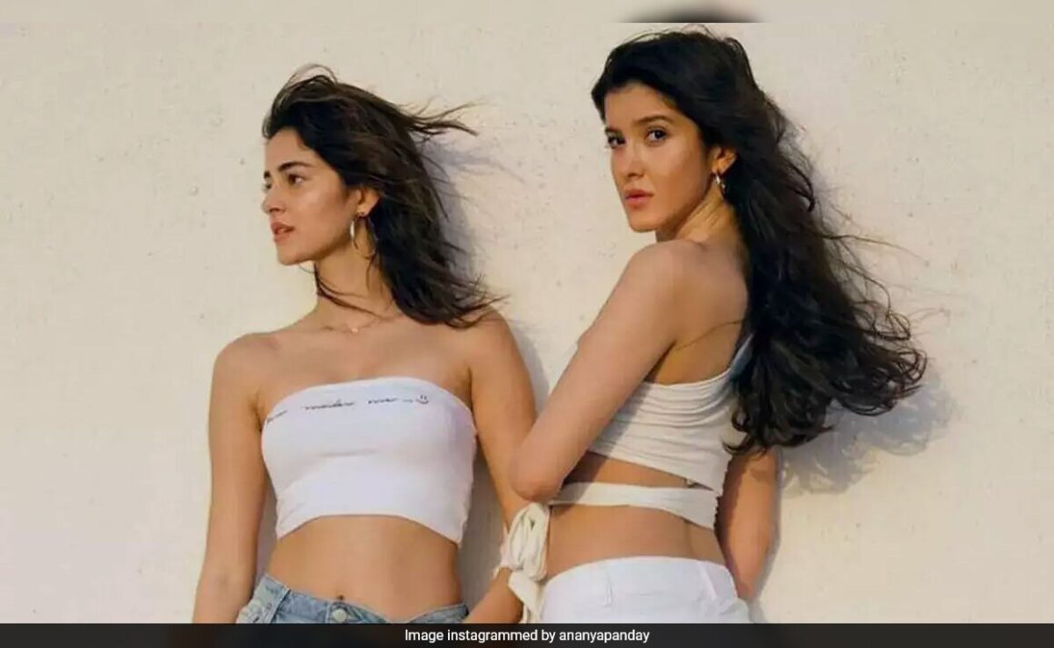 Ananya Panday And Shanaya Kapoor’s Dance Video Is Too Good To Miss