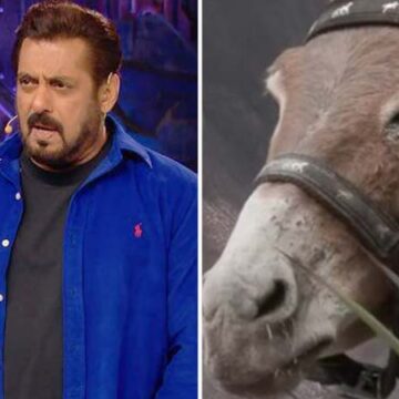 Bigg Boss 18: Gadharaj aka the donkey has been removed from the Salman Khan hosted show followed by PETA’s allegations : Bollywood News