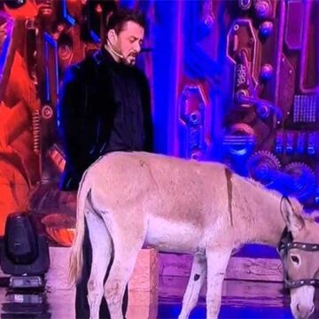 Bigg Boss 18: PETA requests Salman Khan’s intervention over donkey in the controversial house : Bollywood News