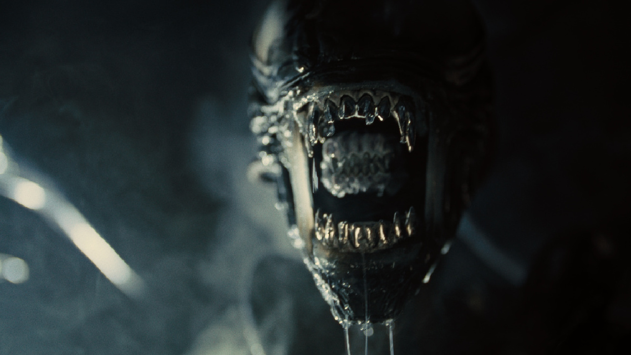 Xenomorph in 20th Century Studios' 'Alien: Romulus.' Photo courtesy of 20th Century Studios. © 2024 20th Century Studios. All Rights Reserved.