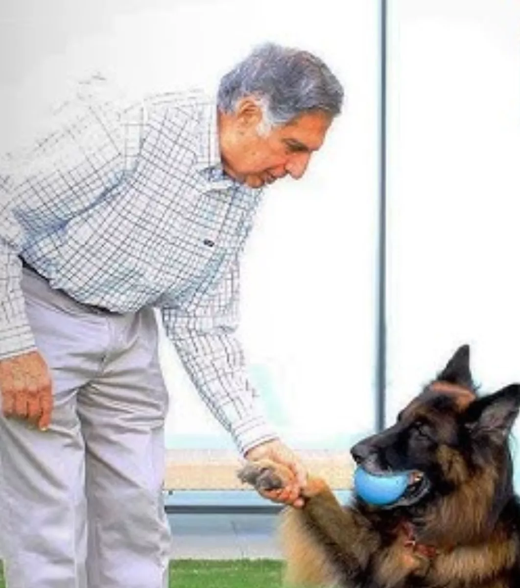 Ratan Tata's German shepherd dog named Tito will be overlooked by the late billionaire's cook, Rajan Shaw