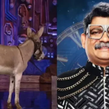 PETA Issues Open Letter To Salman Khan Against Keeping A Donkey In The House As A Prop