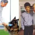 From Dog To Shantanu Naidu, Here Are Names Who Will Get A Slice From His Wealth