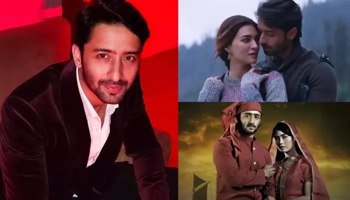 Shaheer Sheikh's Success Story: Indonesia's SRK, Played 'Arjun' In Mahabharat, House Worth Crores