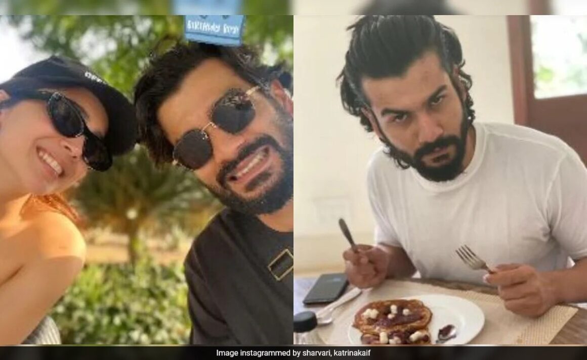 To Sunny Kaushal, Adorable Birthday Wishes From Rumoured Girlfriend Sharvari, Vicky Kaushal And Katrina Kaif