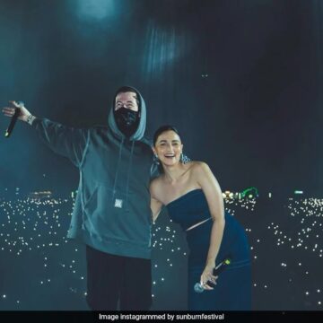 Alia Bhatt X Alan Walker. A Collab We Didn’t Know We Needed