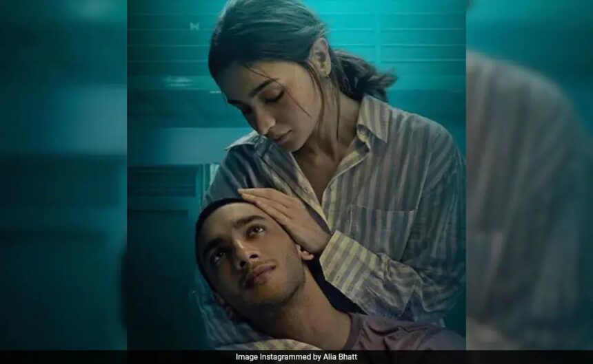 Alia Bhatt’s Film Lags Behind Rajkummar Rao’s Vicky Vidya Ka Woh Wala Video