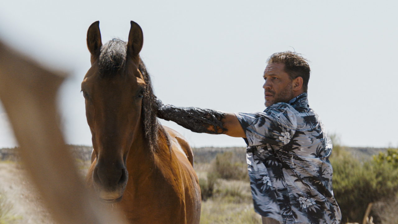 Tom Hardy stars as Eddie Brock/Venom in Columbia Pictures 'Venom: The Last Dance'. Photo: Courtesy of Sony Pictures.