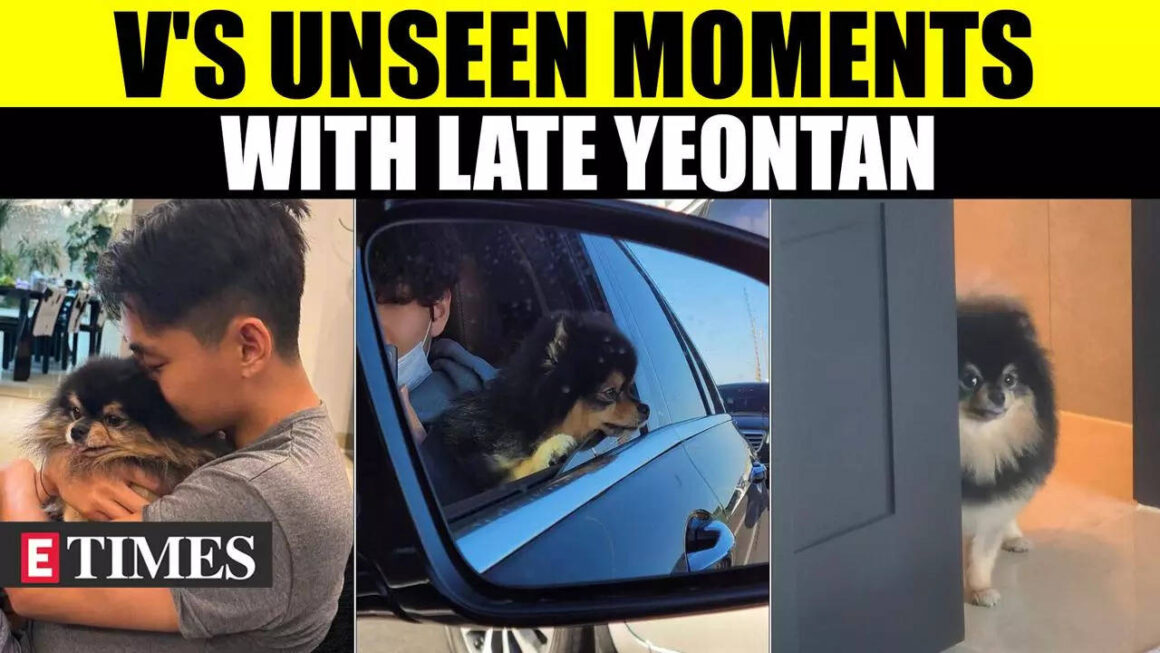 BTS Member V's Love For Late Pet Dog Yeontan In Videos & Pics Through The Years | WATCH