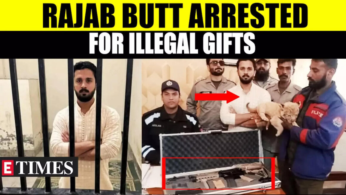 Pakistani YouTuber Rajab Butt In Hot Water Over Wedding Gifts: Lion Cub Rescued