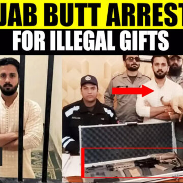 Pakistani YouTuber Rajab Butt In Hot Water Over Wedding Gifts: Lion Cub Rescued