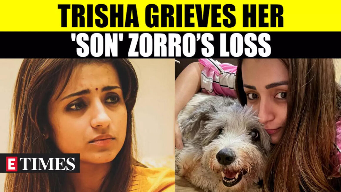 Krishnan Mourns The Tragic Loss Of Her Beloved ‘Son’ Zorro | Fans & Celebrities Offer Condolences; WATCH | Tamil Movie News