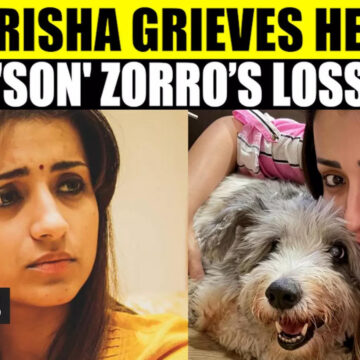 Krishnan Mourns The Tragic Loss Of Her Beloved ‘Son’ Zorro | Fans & Celebrities Offer Condolences; WATCH | Tamil Movie News