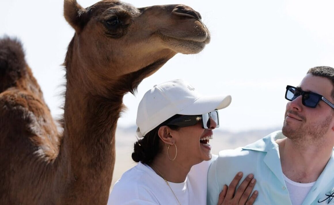 The One Where Priyanka Chopra And Nick Jonas Pose With A Camel. See Pic