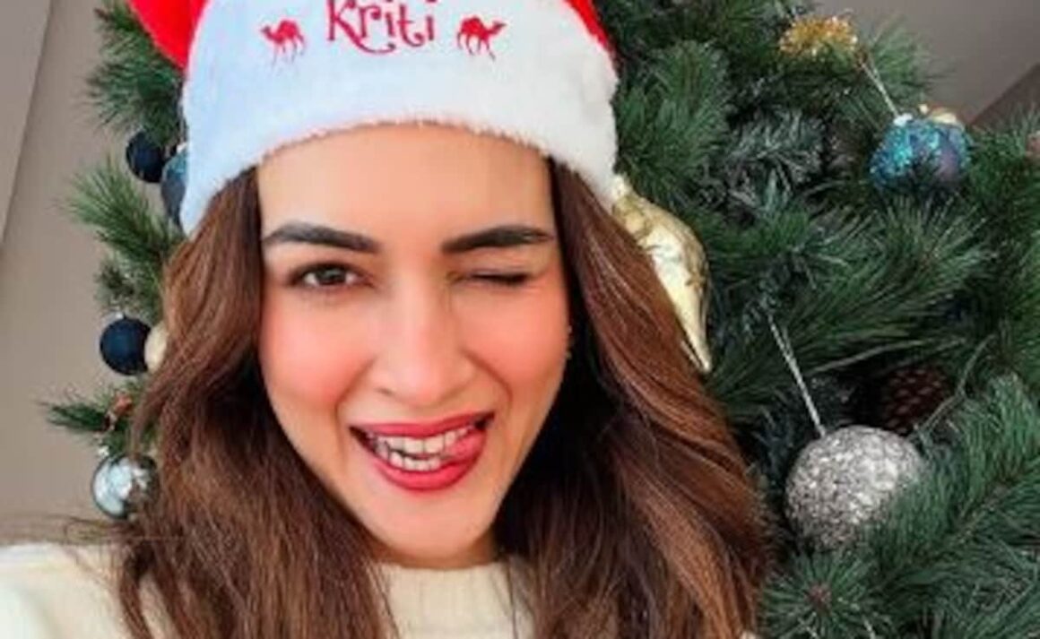 Kriti Sanon Enjoys Ustad Rahat Fateh Ali Khan’s Concert With Rumoured Boyfriend Kabir Bahia