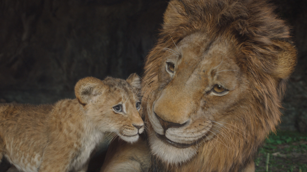 (L to R) Kiara (voiced by Blue Ivy Carter) and Simba (voiced by Donald Glover) in Disney’s live-action 'Mufasa: The Lion King'. Photo courtesy of Disney. © 2024 Disney Enterprises Inc. All Rights Reserved.