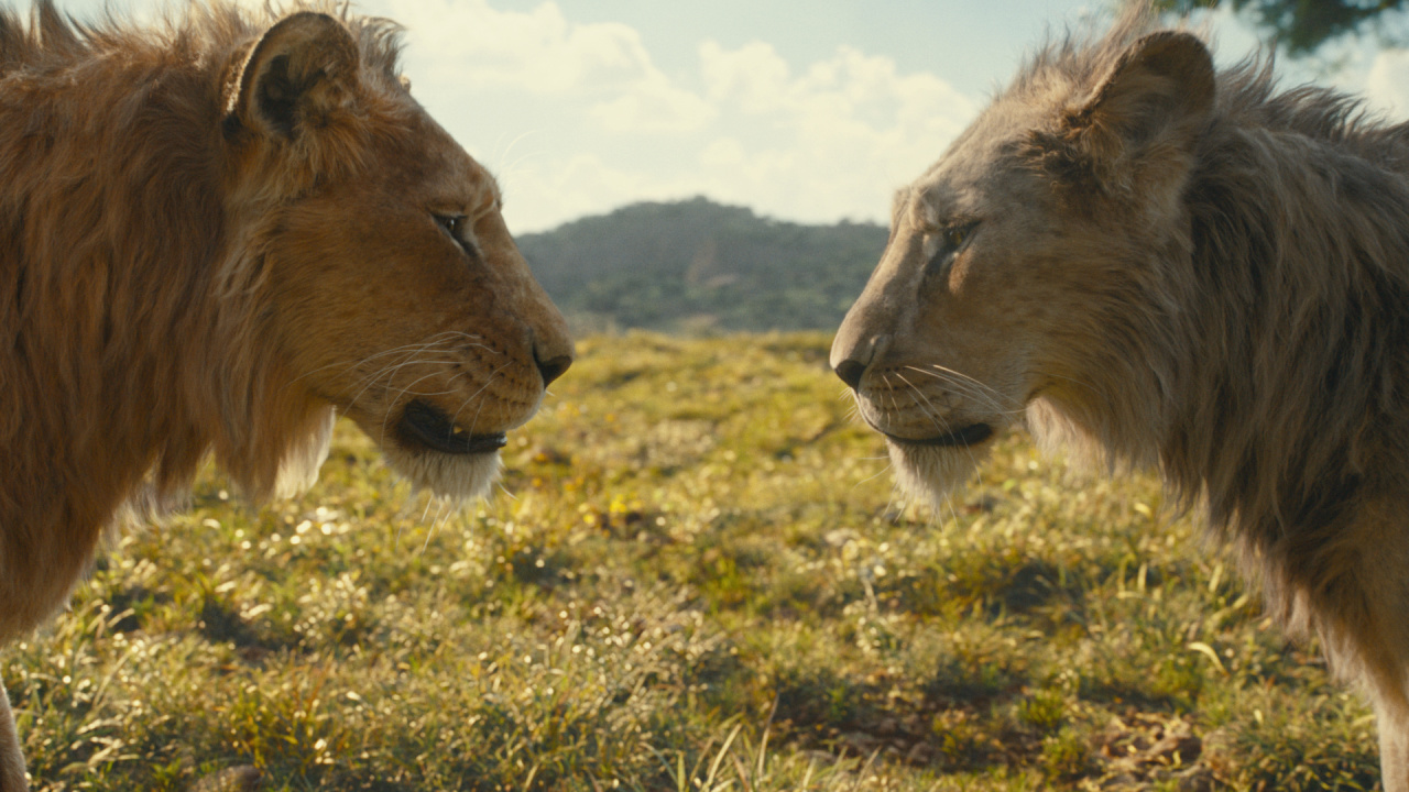 (L to R) Mufasa (voiced by Aaron Pierre) and Taka (voiced by Kelvin Harrison Jr.) in Disney’s live-action 'Mufasa: The Lion King'. Photo courtesy of Disney. © 2024 Disney Enterprises Inc. All Rights Reserved.