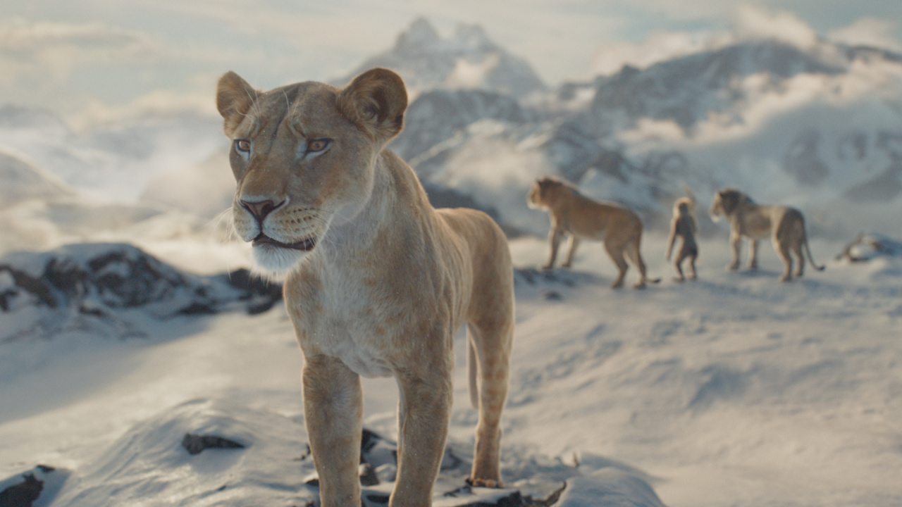 (L to R) Sarabi (voiced by Tiffany Boone), Mufasa (voiced by Aaron Pierre), Rafiki (voiced by Kagiso Lediga), and Taka (voiced by Kelvin Harrison Jr.) in Disney’s live-action 'Mufasa: The Lion King'. Photo courtesy of Disney. © 2024 Disney Enterprises Inc. All Rights Reserved.