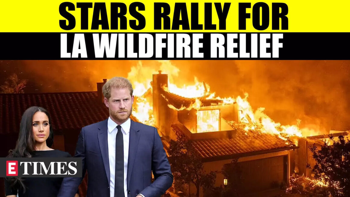 Halle Berry, Jamie Lee Curtis, Harry-Meghan & Others Join Forces To Help LA Wildfire Victims