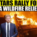 Halle Berry, Jamie Lee Curtis, Harry-Meghan & Others Join Forces To Help LA Wildfire Victims