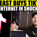 MrBeast's Plan To Buy TikTok Sends The Internet Into A Frenzy; Mixed Reactions Emerge Online | WATCH