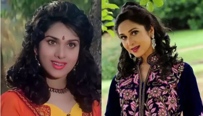 Meenakshi Seshadri Is A Different Person Off Camera, 'Extremely Rude' To People, Alleges Redditor