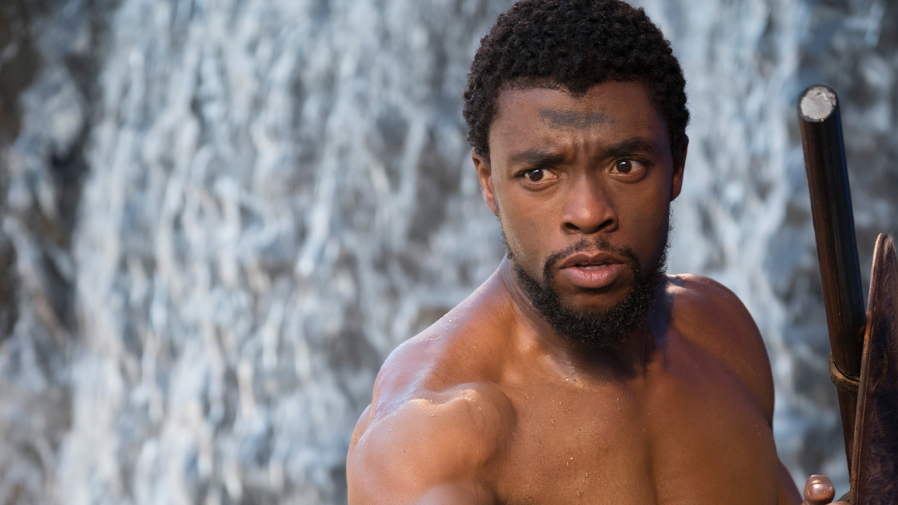 Chadwick Boseman as T'Challa / Black Panther in 2018's 'Black Panther.' Photo: Marvel Studios.