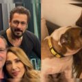 Salman Khan’s Pet Dog Toro Dies, Actor’s Rumoured Girlfriend Iulia Vantur Shares Emotional Post